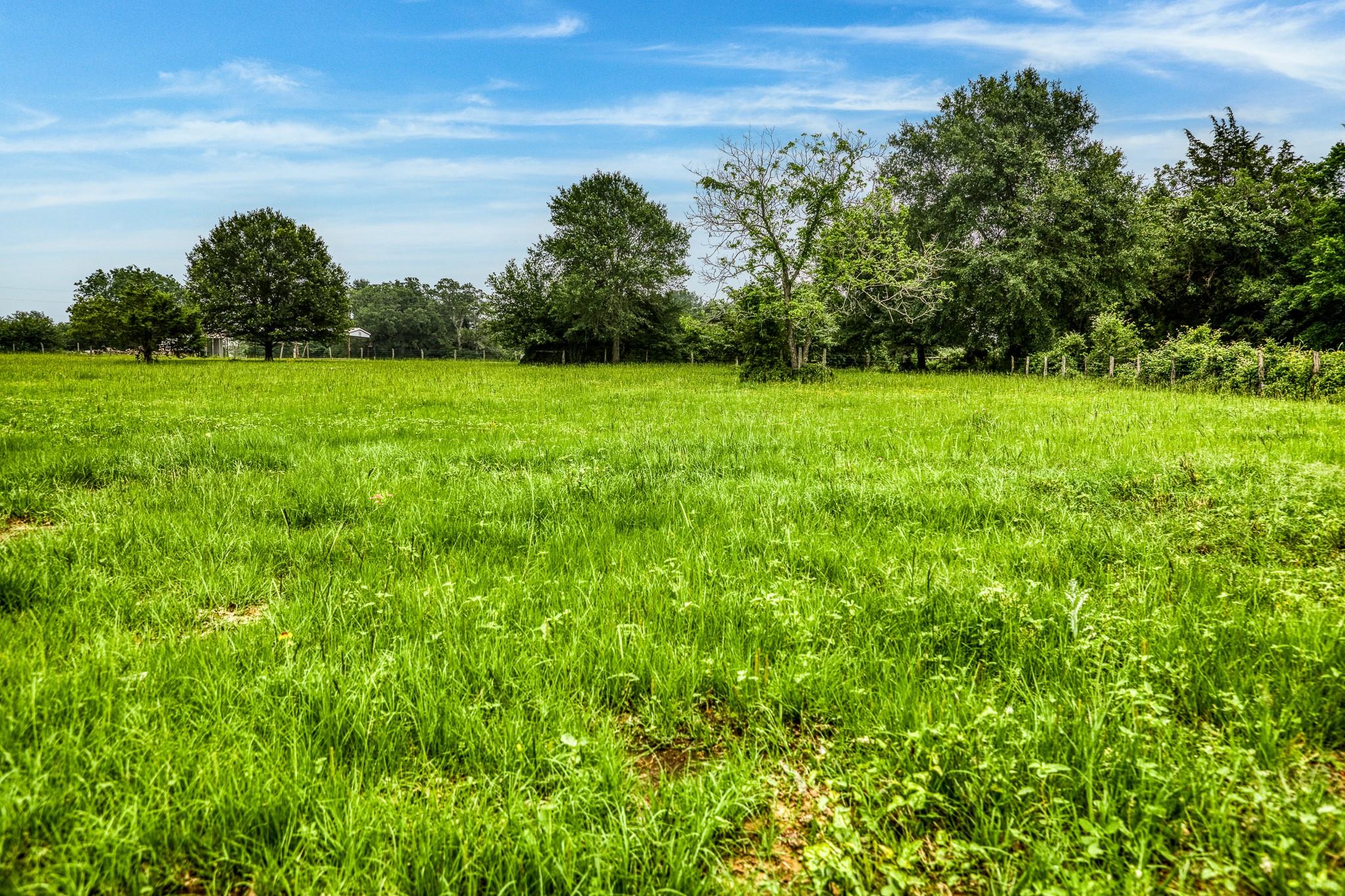 10610 CR 322, Caldwell, TX 77836