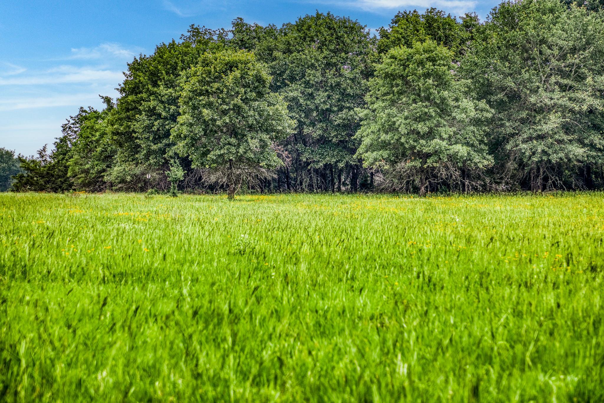 10610 CR 322, Caldwell, TX 77836