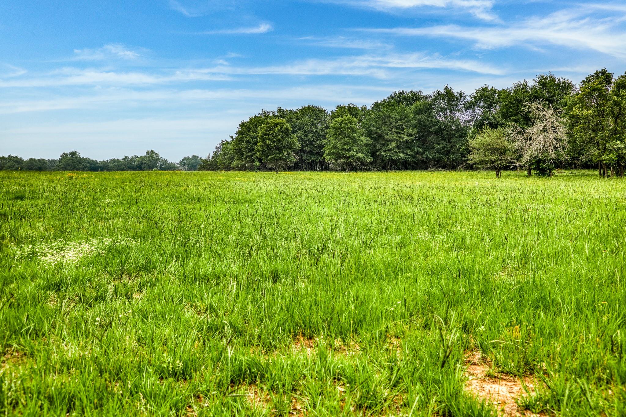 10610 CR 322, Caldwell, TX 77836