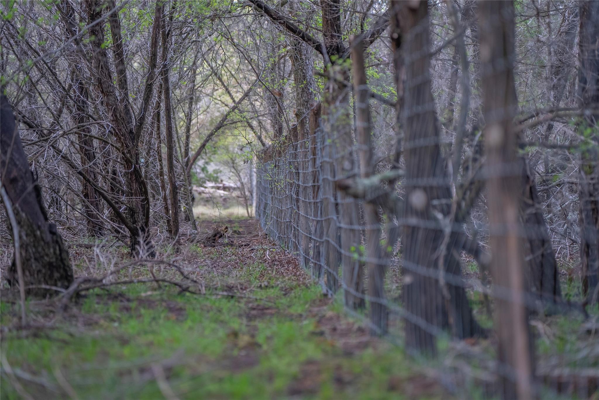 TBD Bell Springs Rd, Dripping Springs, TX 78620