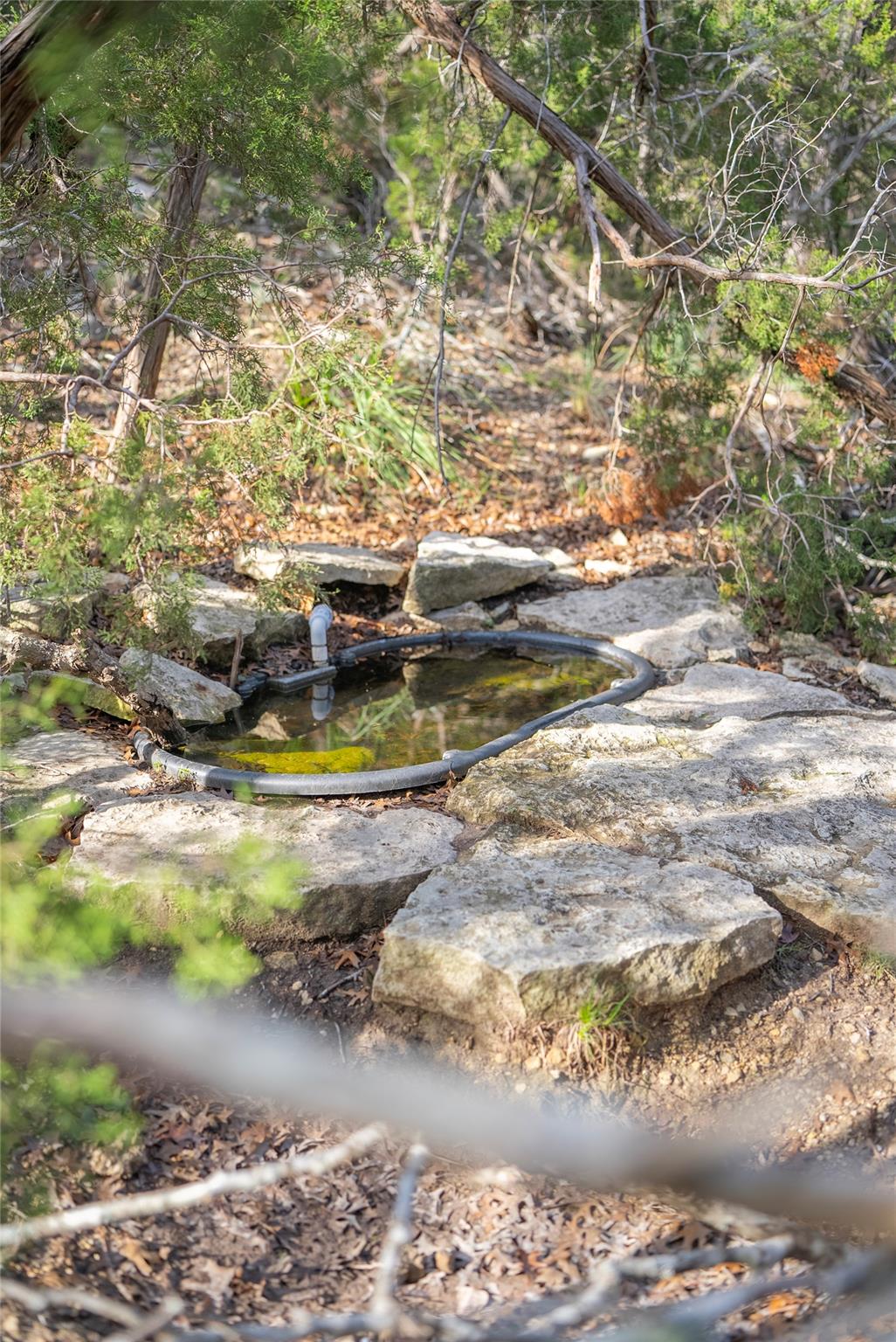 TBD Bell Springs Rd, Dripping Springs, TX 78620