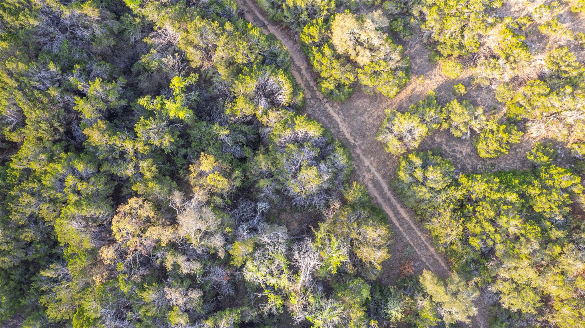 TBD Bell Springs Rd, Dripping Springs, TX 78620