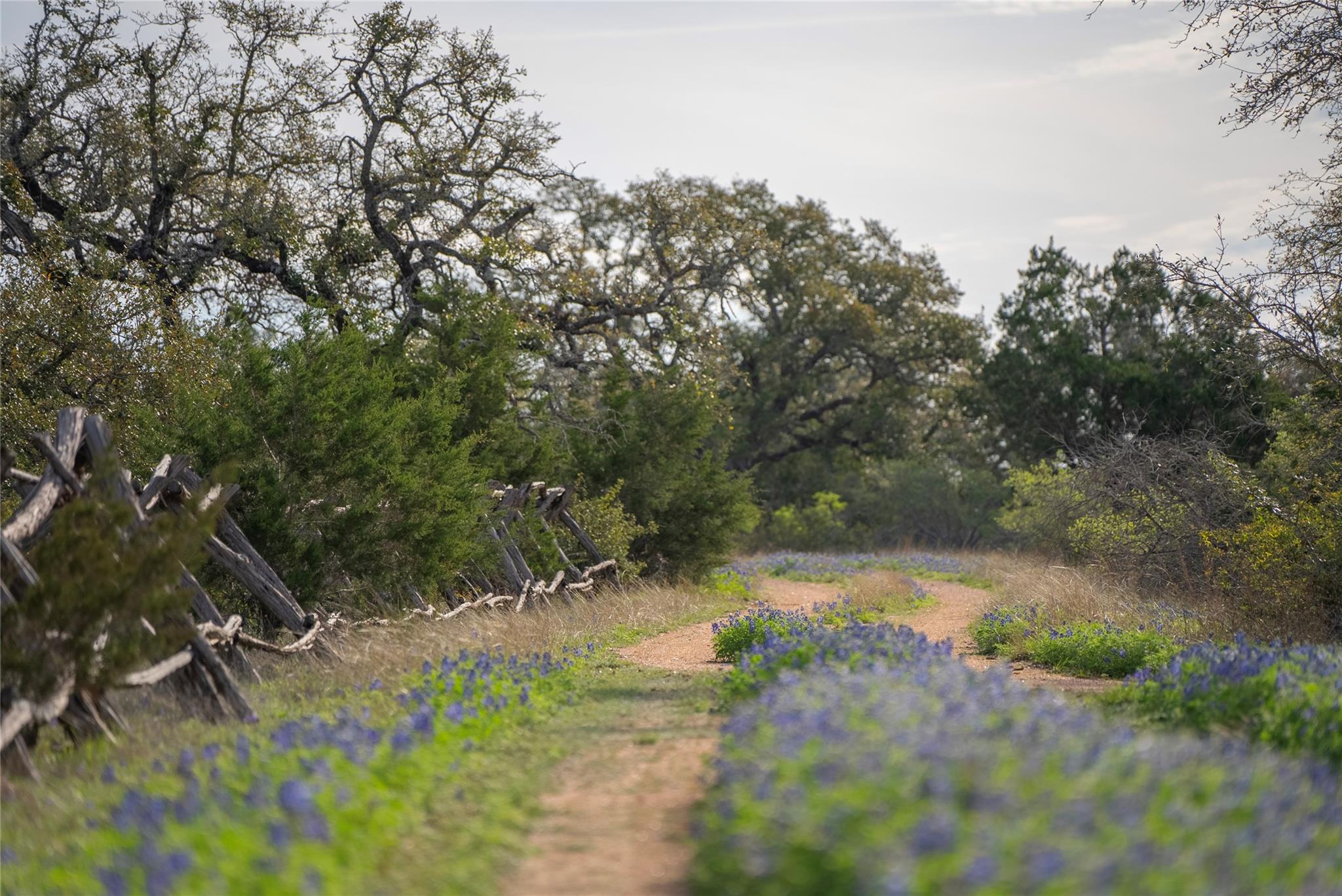 TBD Bell Springs Rd, Dripping Springs, TX 78620