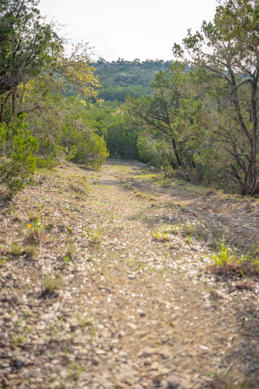 TBD Bell Springs Rd, Dripping Springs, TX 78620