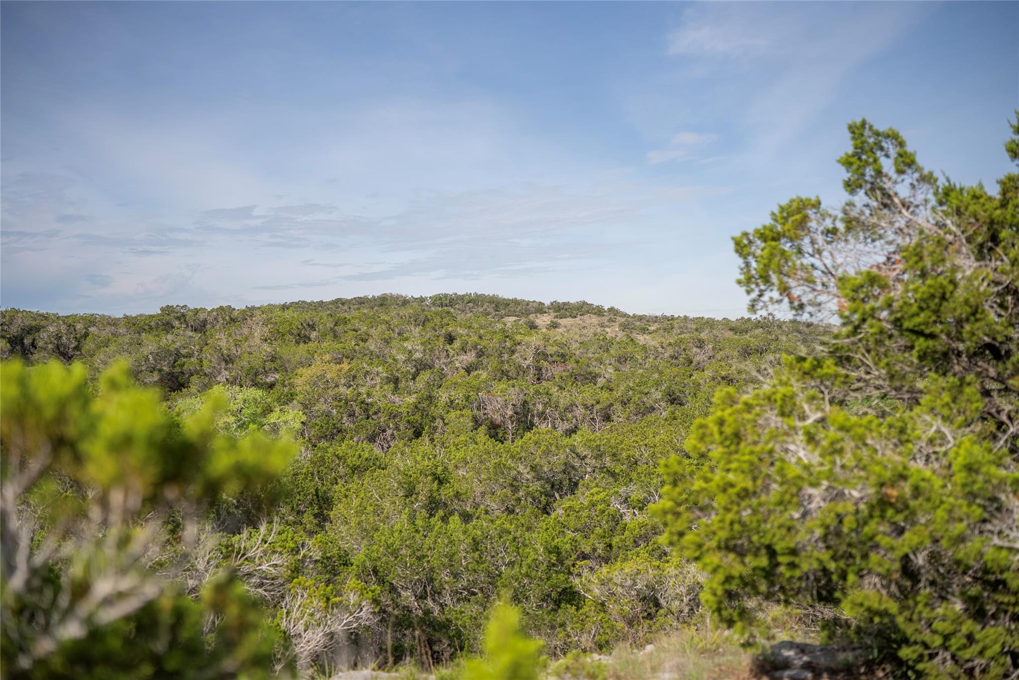 TBD Bell Springs Rd, Dripping Springs, TX 78620