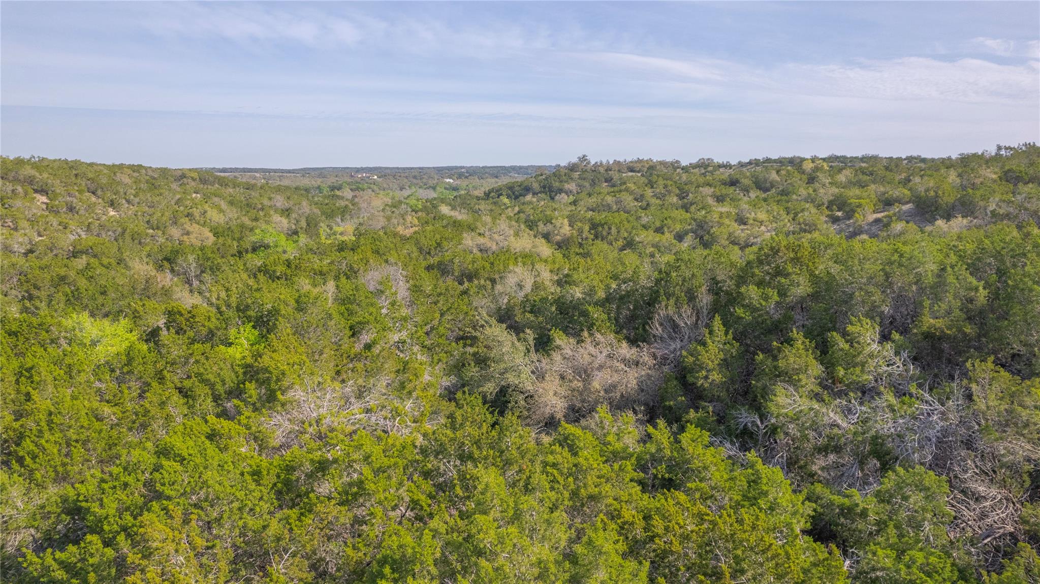 TBD Bell Springs Rd, Dripping Springs, TX 78620