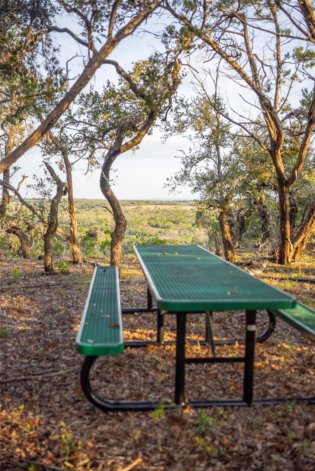 TBD Bell Springs Rd, Dripping Springs, TX 78620