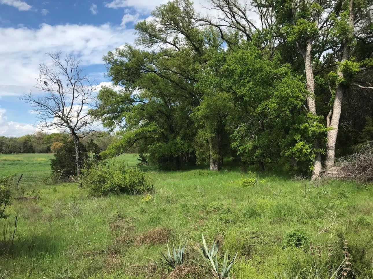 21109 N Us Highway 281, Lampasas, TX 76550