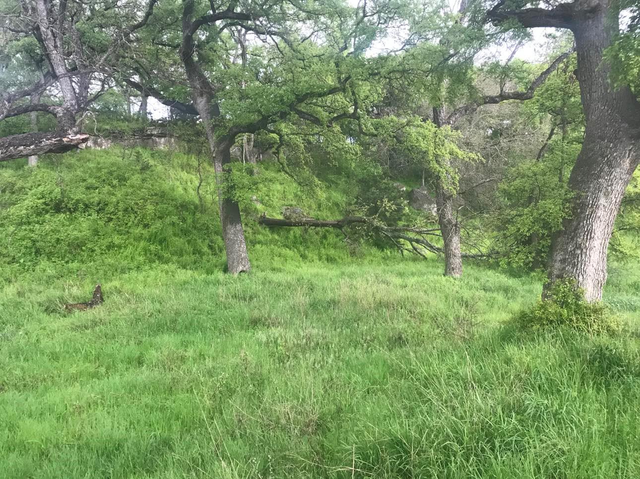 21109 N Us Highway 281, Lampasas, TX 76550