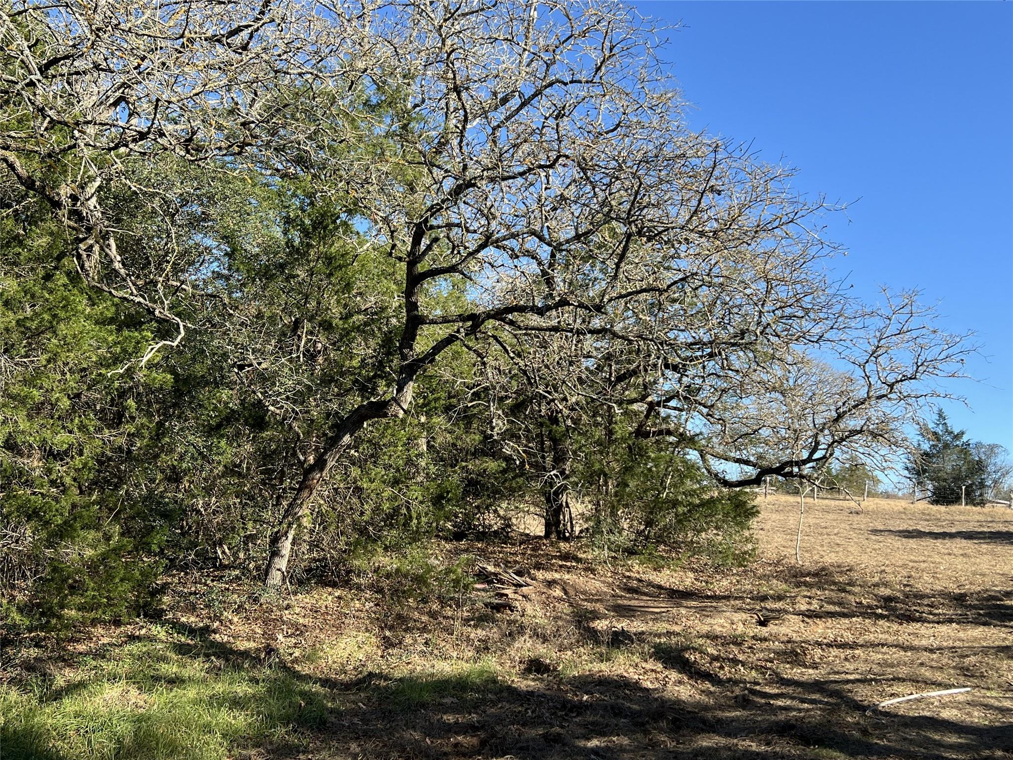 TBD Rosanky Cattle Company Rd, Rosanky, TX 78953