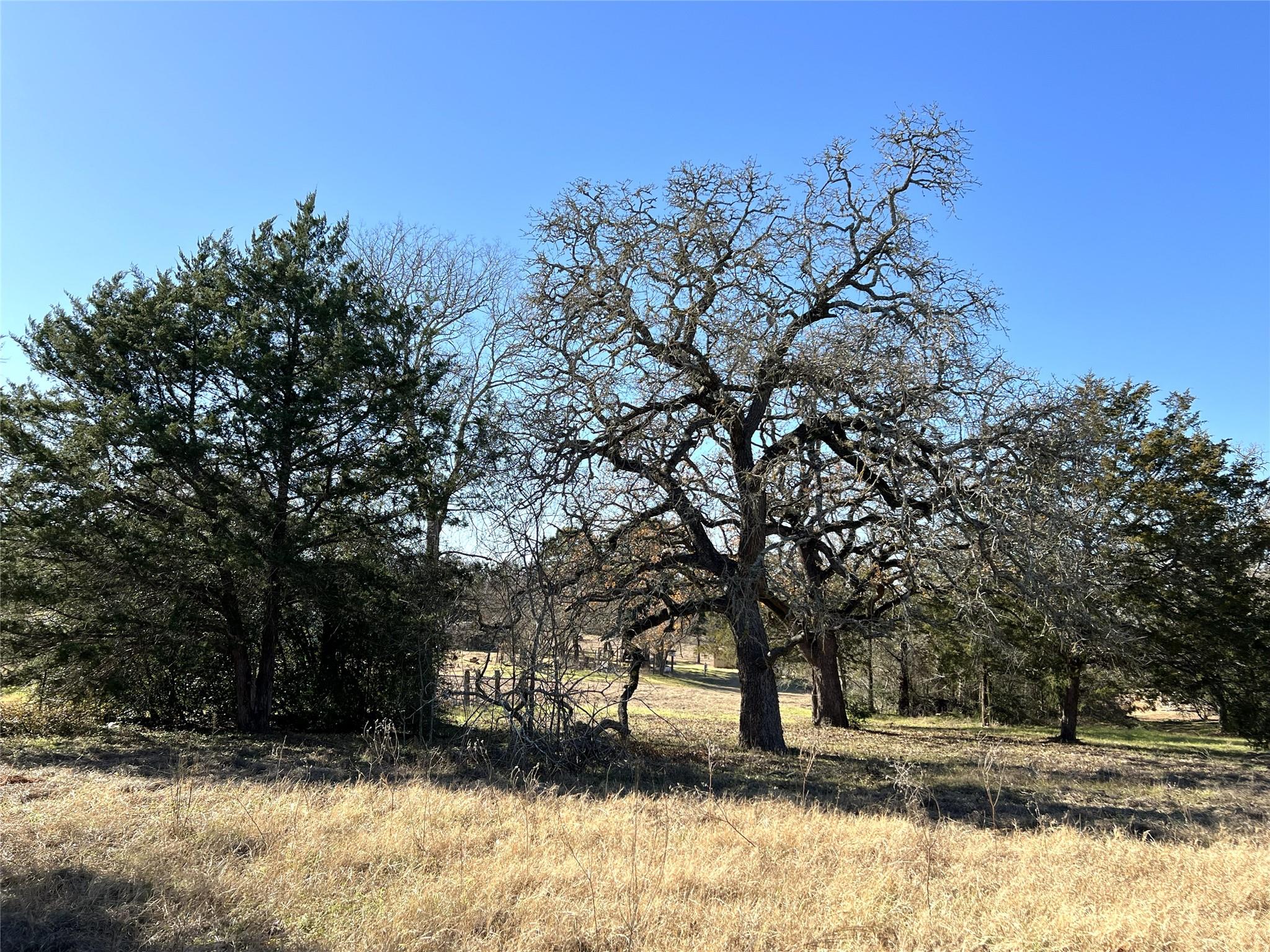 TBD Rosanky Cattle Company Rd, Rosanky, TX 78953