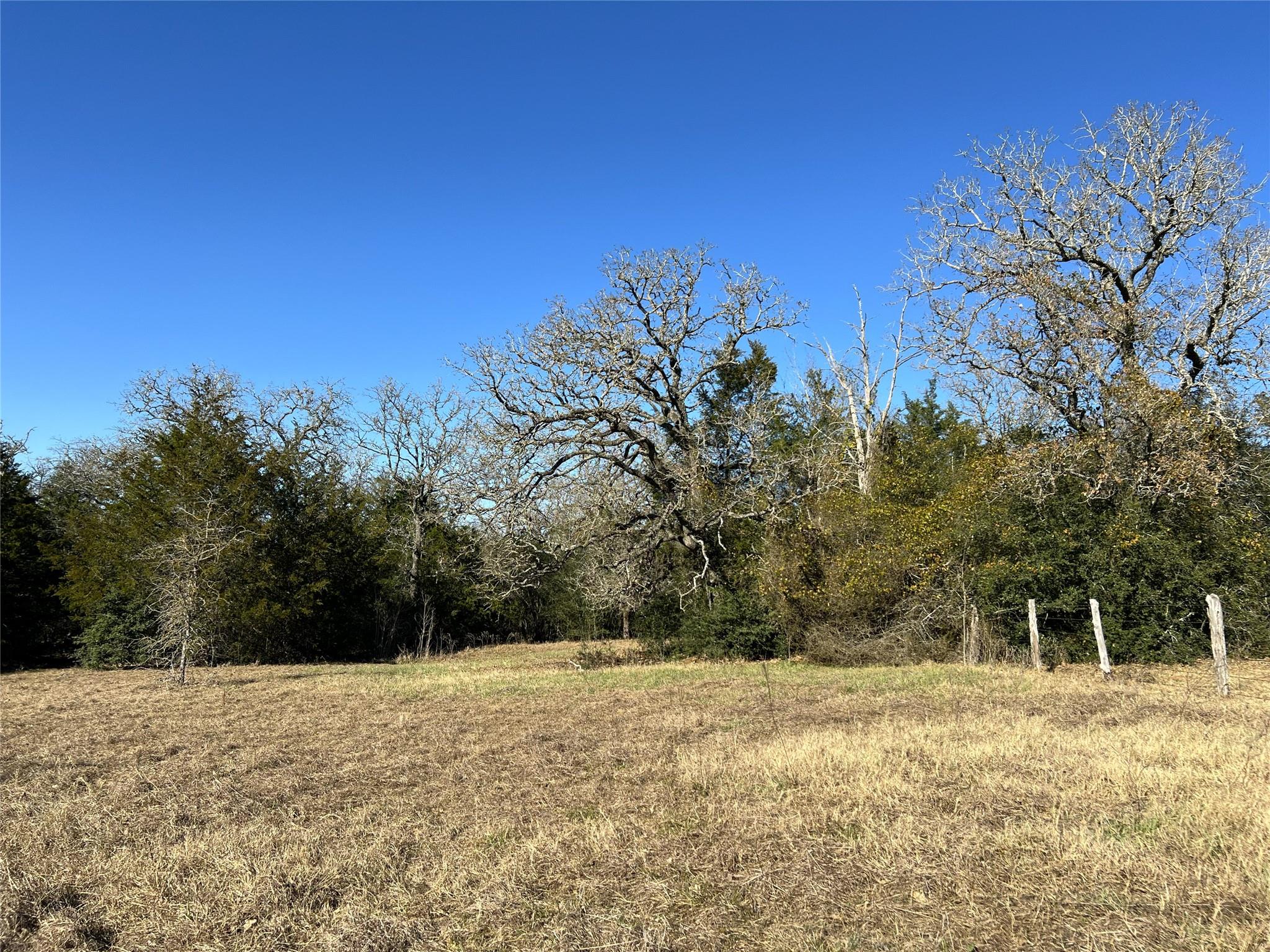 TBD Rosanky Cattle Company Rd, Rosanky, TX 78953