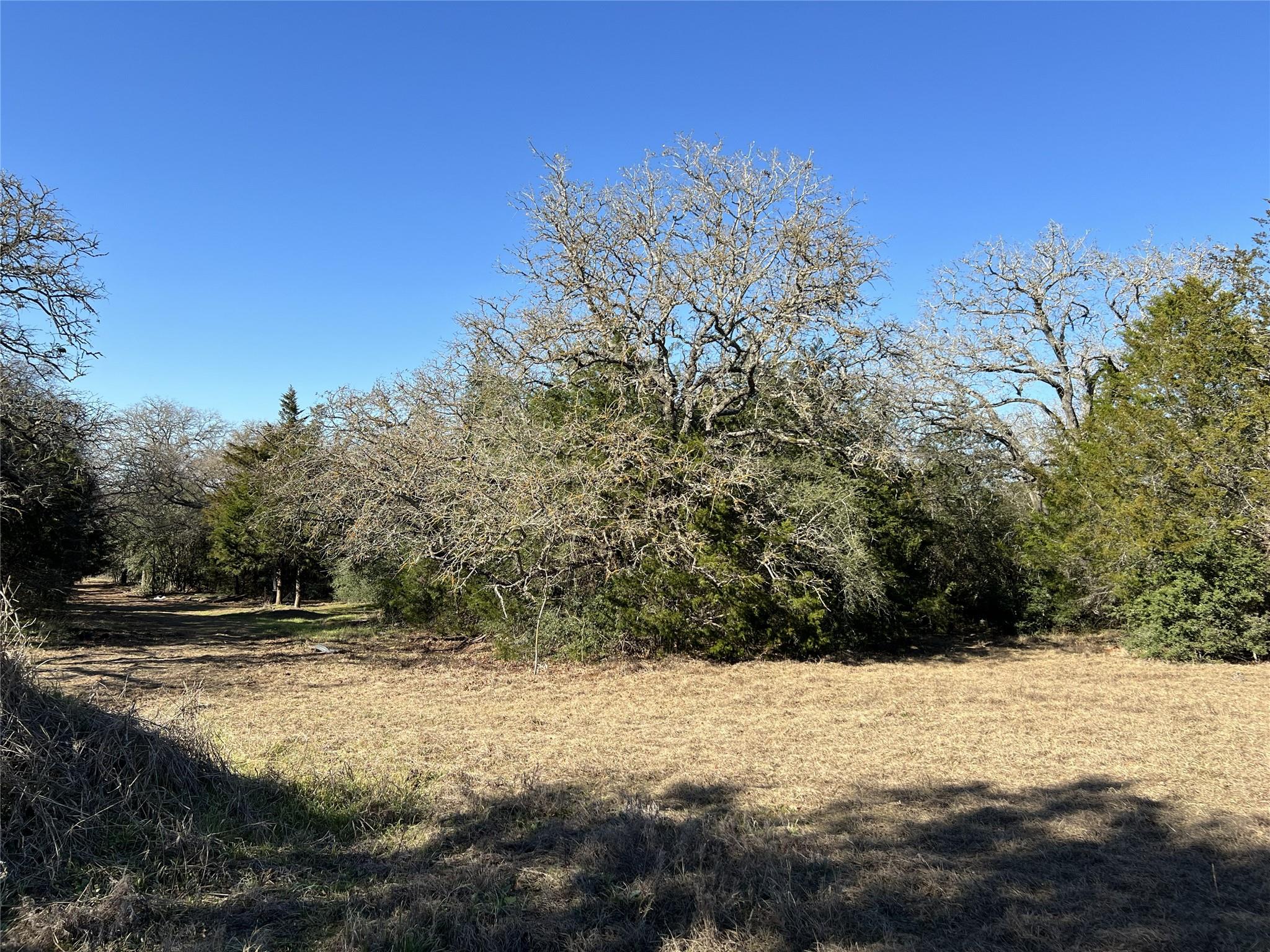 TBD Rosanky Cattle Company Rd, Rosanky, TX 78953