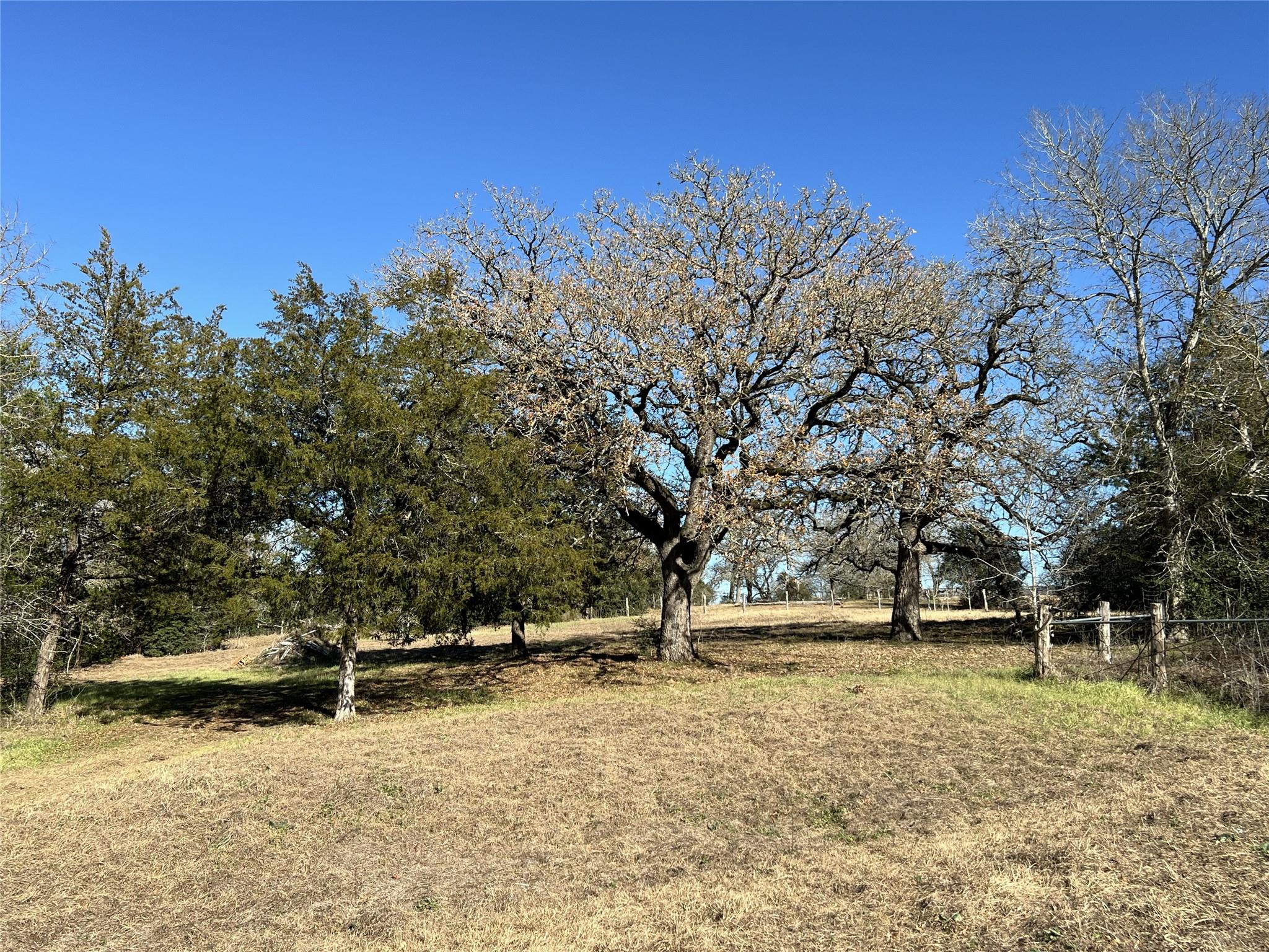 TBD Rosanky Cattle Company Rd, Rosanky, TX 78953