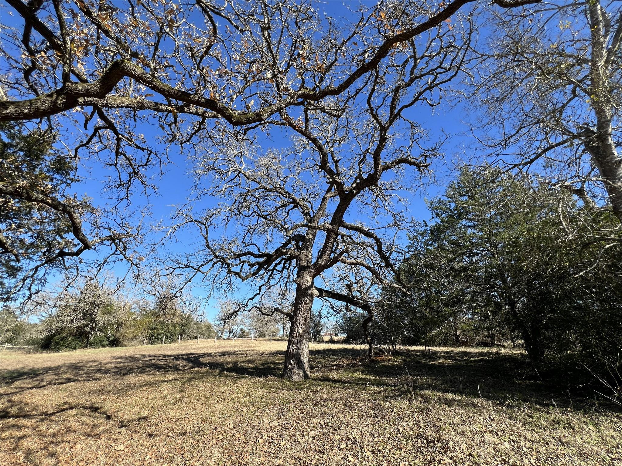 TBD Rosanky Cattle Company Rd, Rosanky, TX 78953