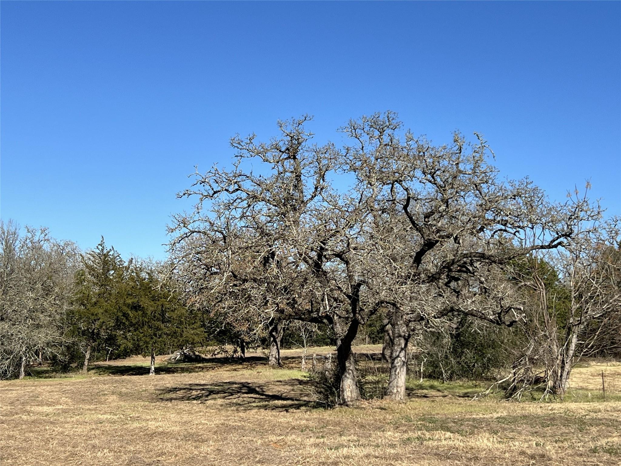 TBD Rosanky Cattle Company Rd, Rosanky, TX 78953