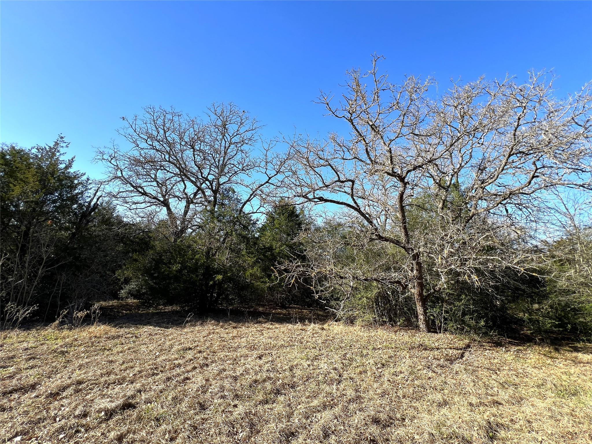 TBD Rosanky Cattle Company Rd, Rosanky, TX 78953
