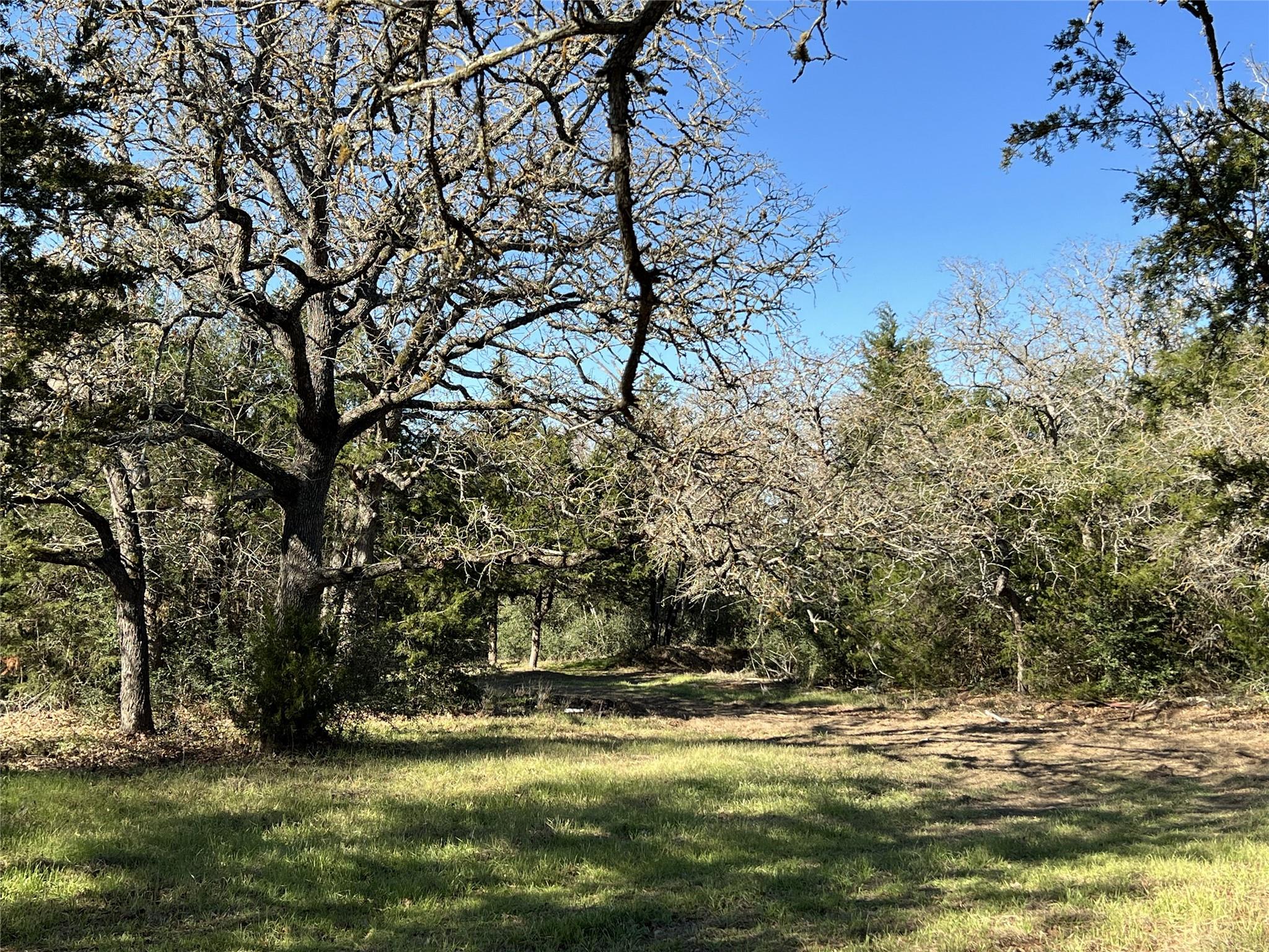 TBD Rosanky Cattle Company Rd, Rosanky, TX 78953