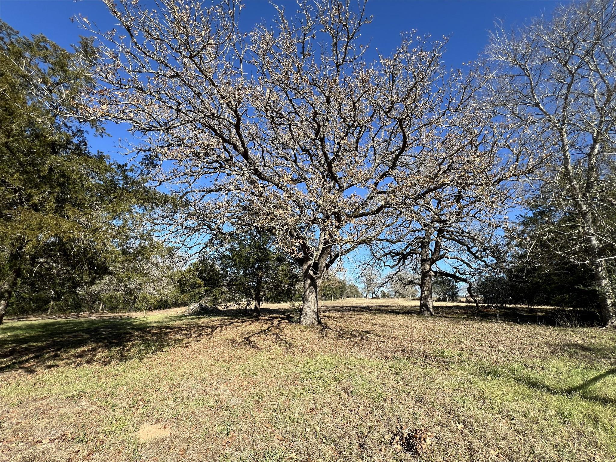 TBD Rosanky Cattle Company Rd, Rosanky, TX 78953