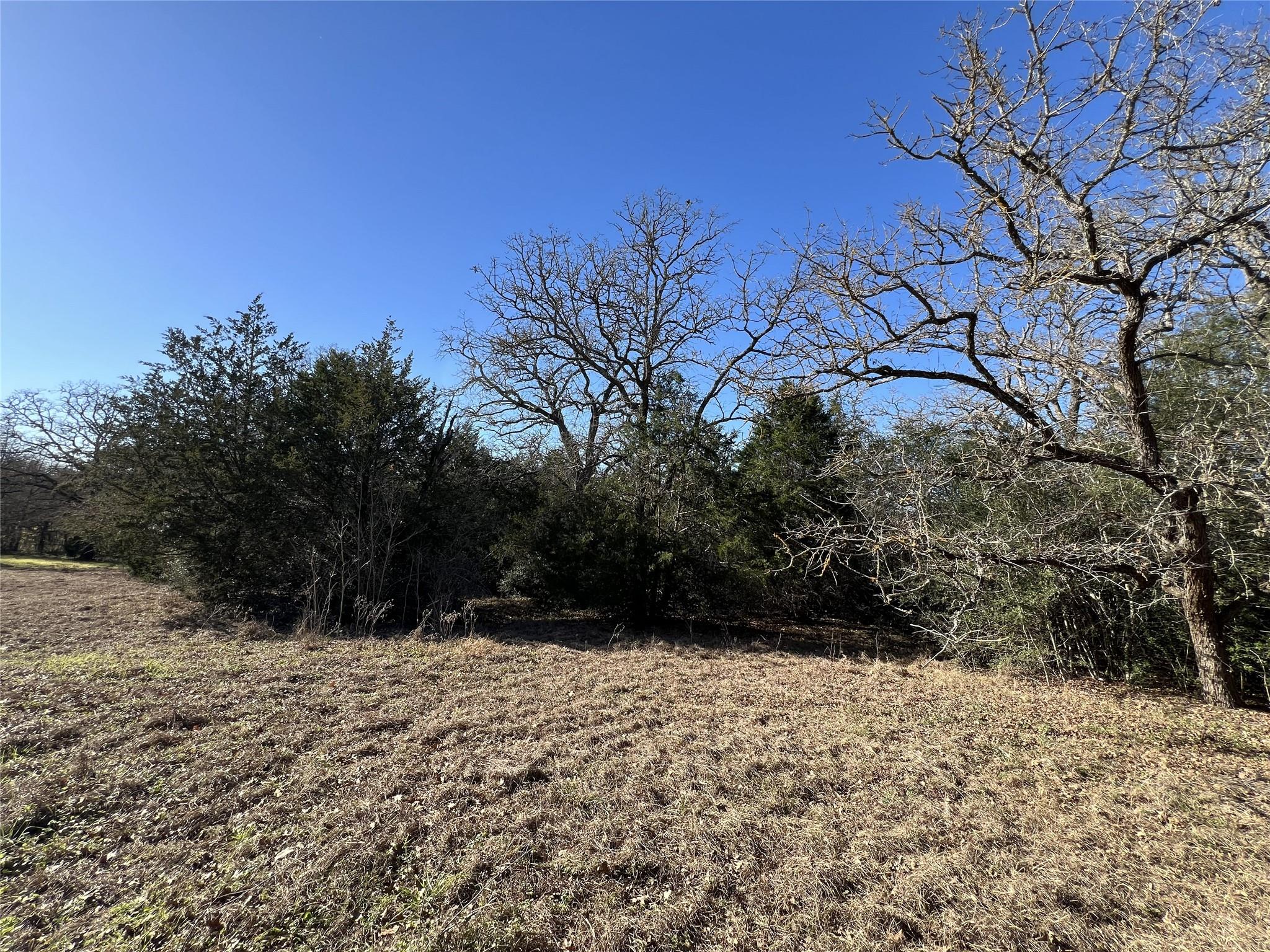 TBD Rosanky Cattle Company Rd, Rosanky, TX 78953