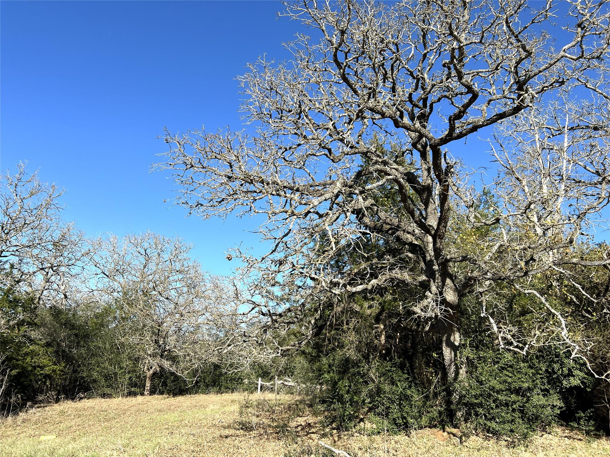 TBD Rosanky Cattle Company Rd, Rosanky, TX 78953