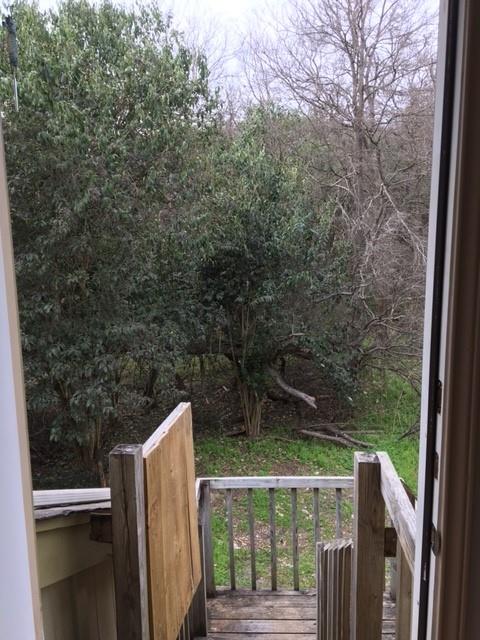 1713 Cinnamon Path # Studio, Austin, TX 78704