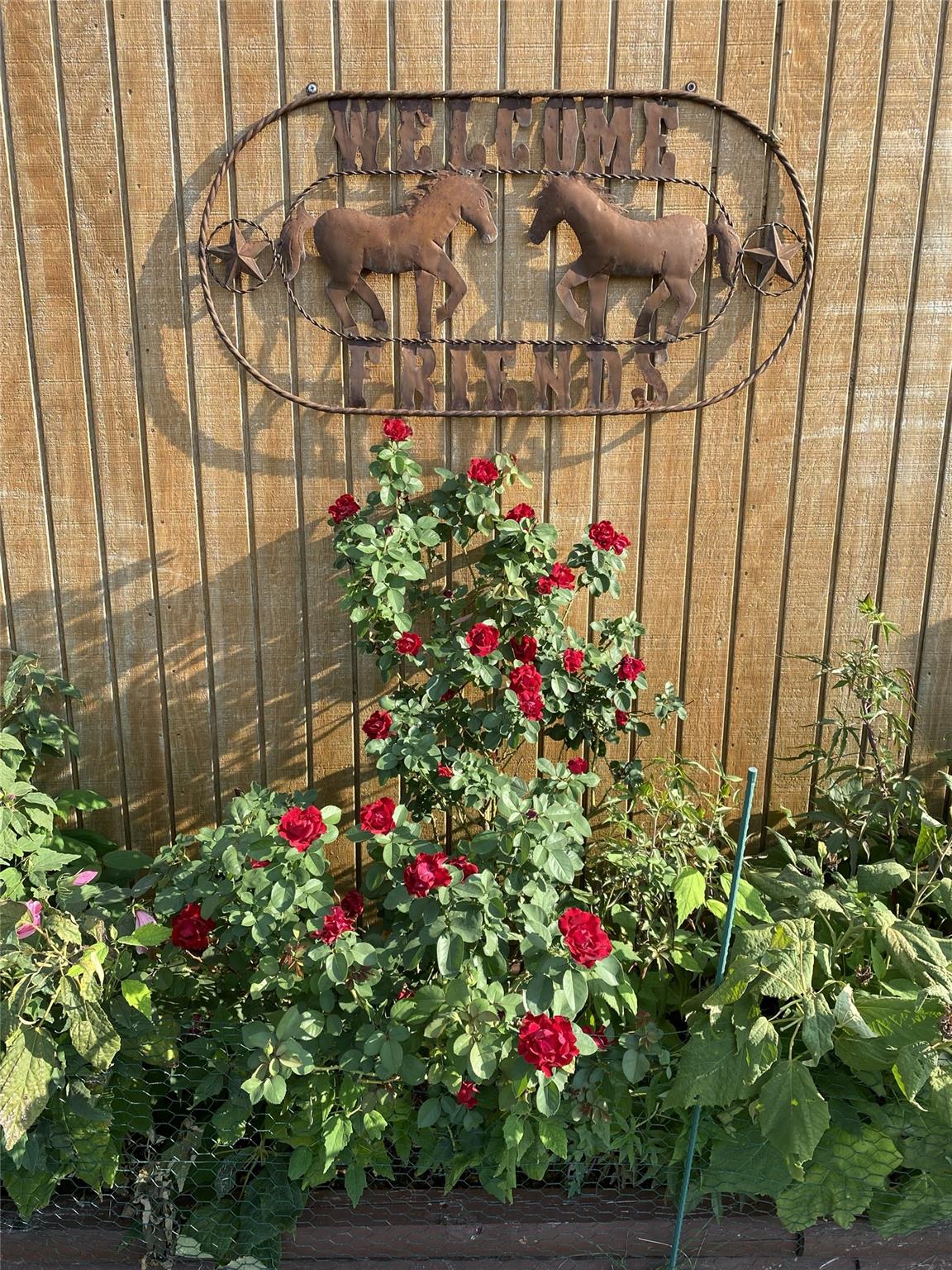 3083 HWY 138, Florence, TX 76527