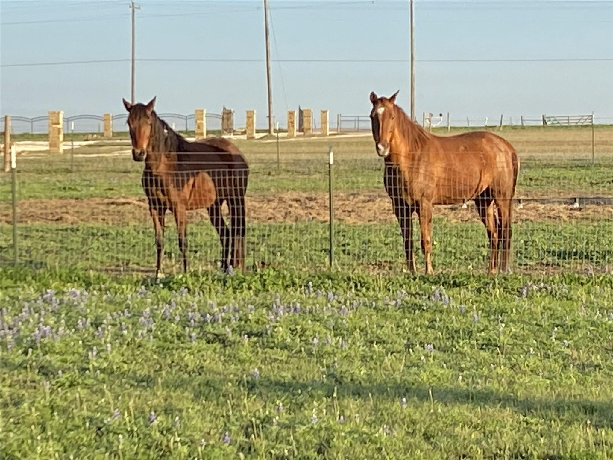 3083 HWY 138, Florence, TX 76527