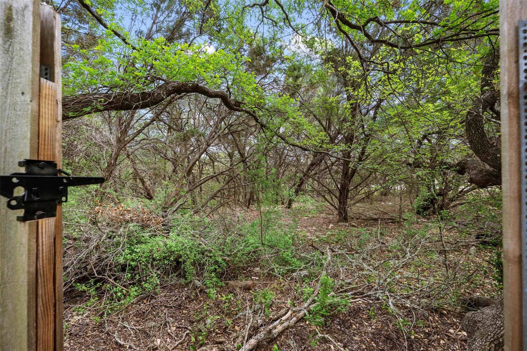 6825 Hansa Loop, Austin, TX 78739