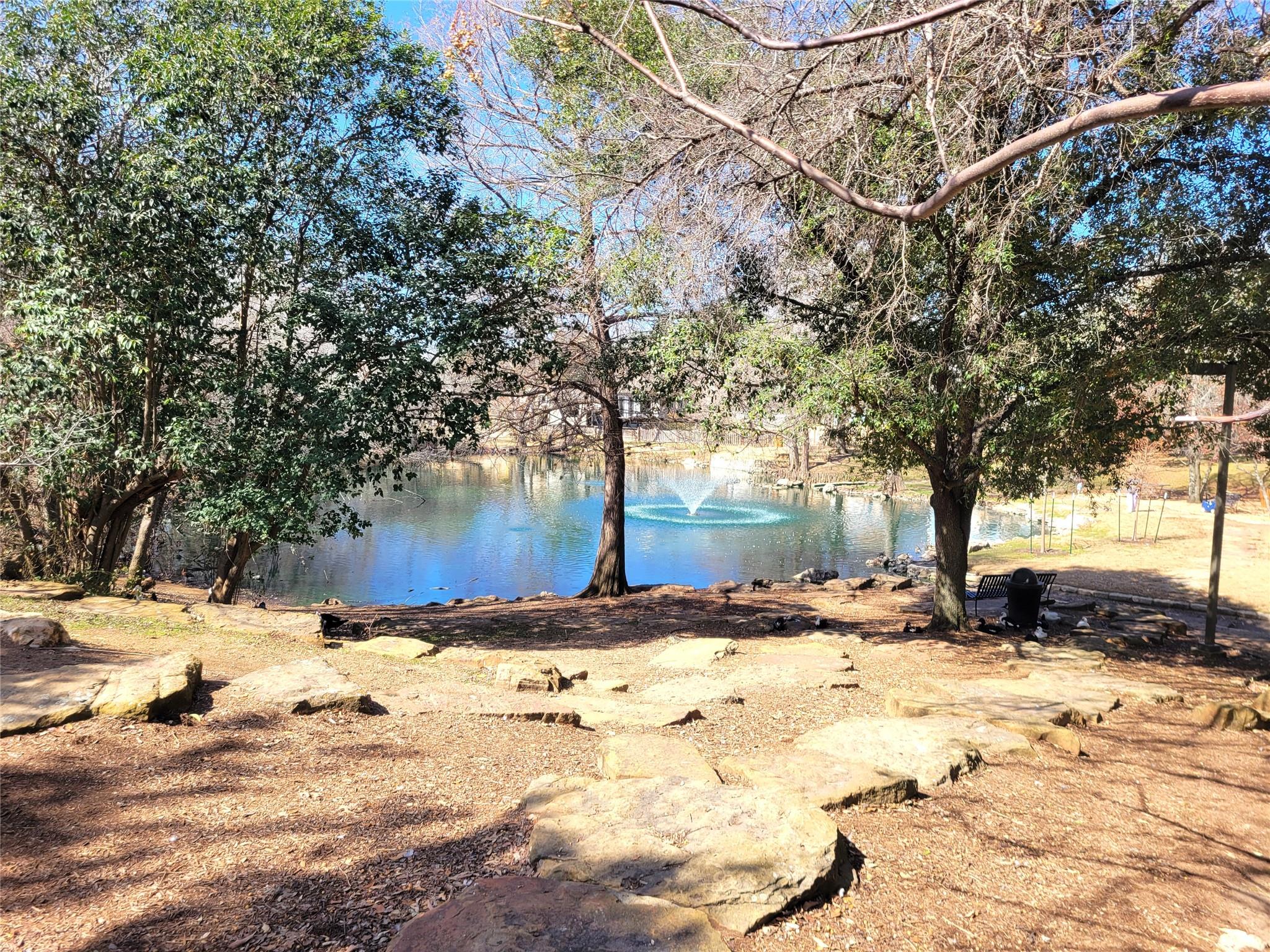 10217 Lindshire Ln, Austin, TX 78748