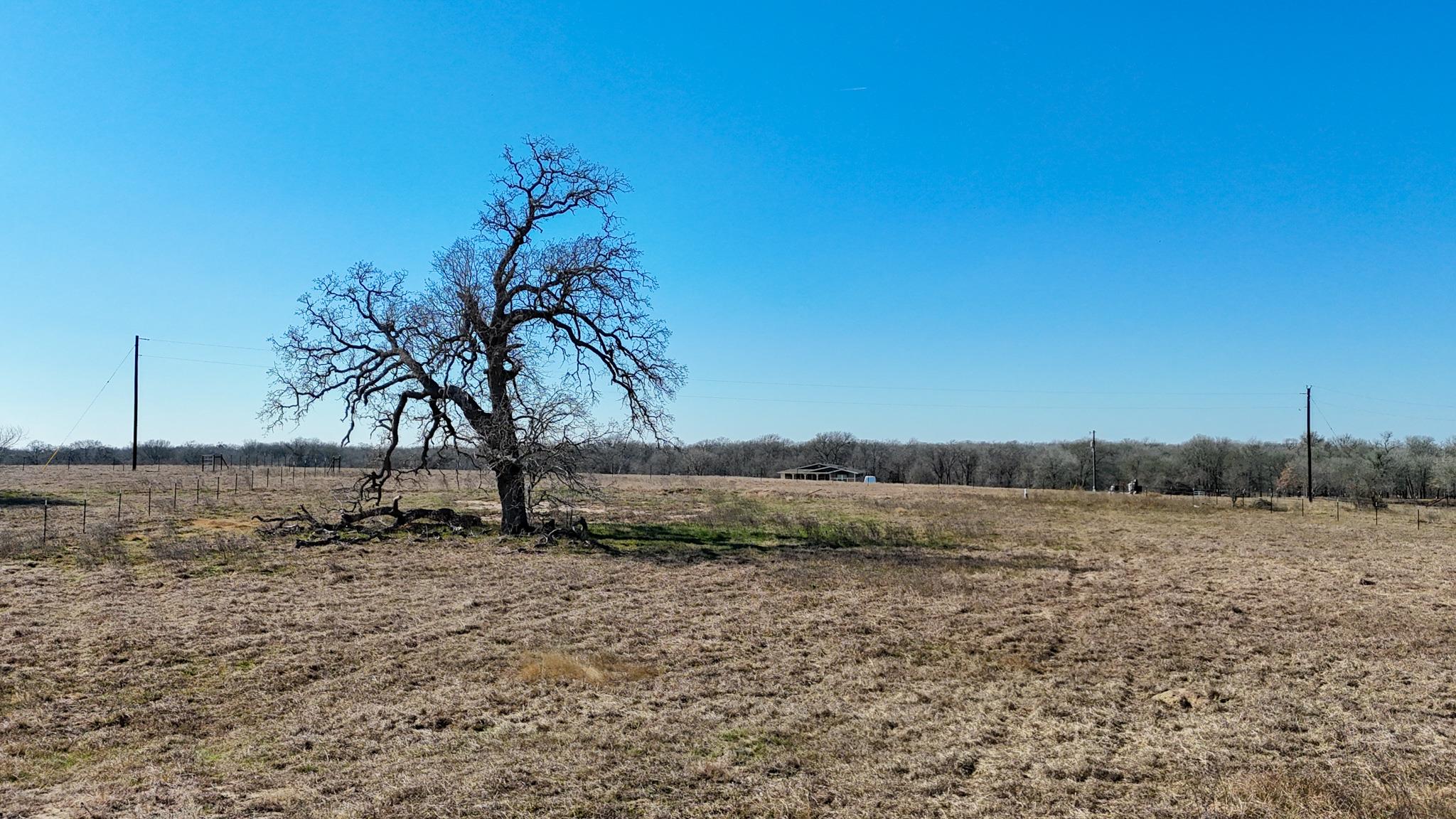 8244 Old Colony Line Rd, Dale, TX 78616