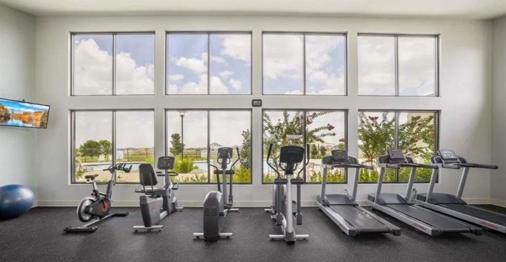 113 Spanish Foal Trl, Georgetown, TX 78626