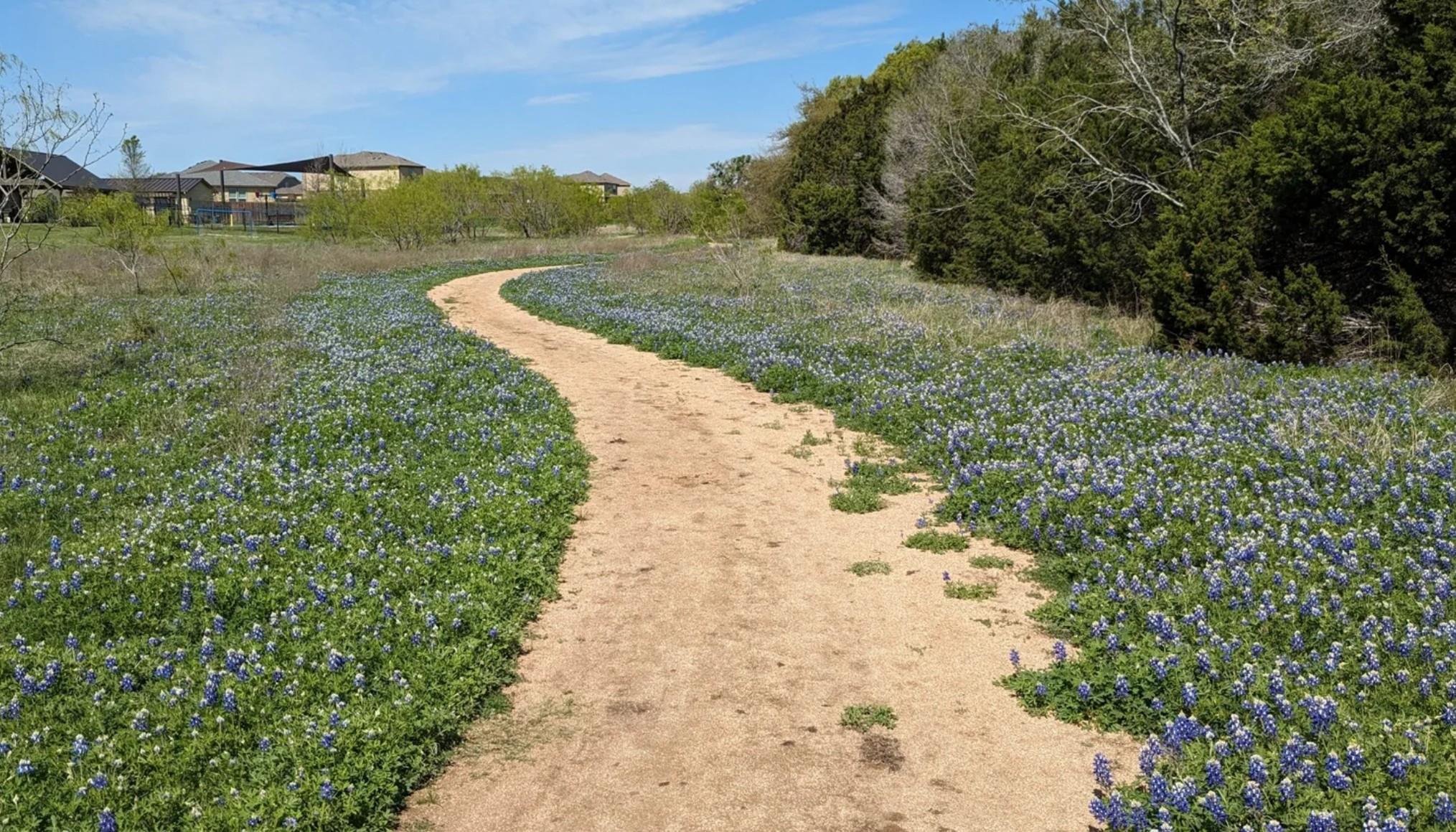 177 Eagle Owl Loop, Leander, TX 78641