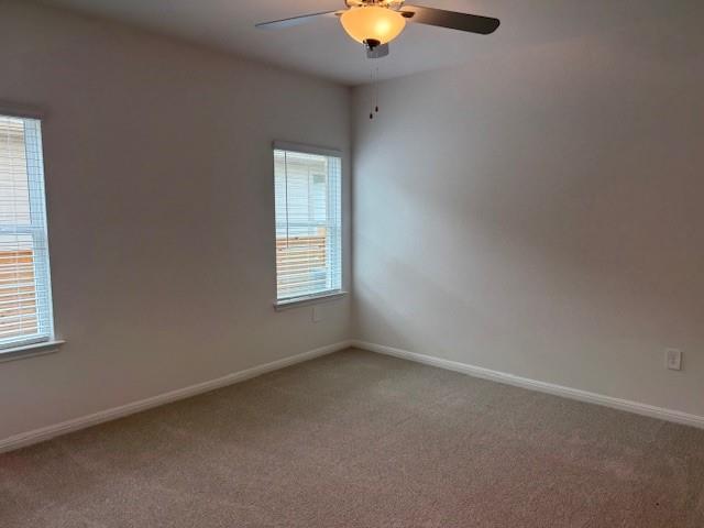 117 Maple Hedge Rd, Hutto, TX 78634