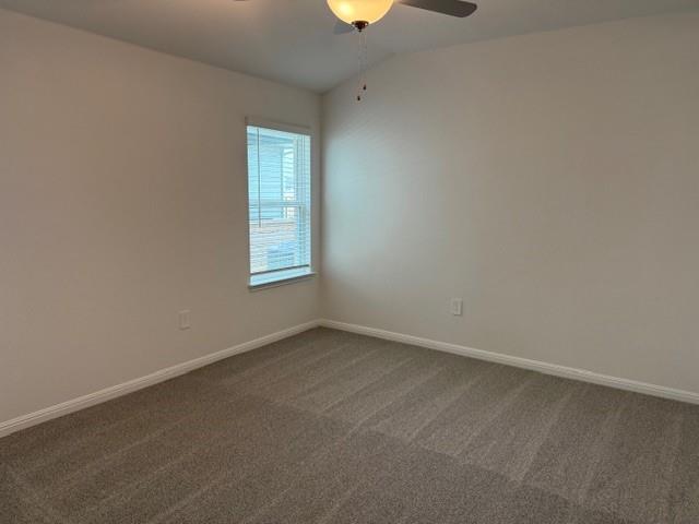 125 Maple Hedge Rd, Hutto, TX 78634