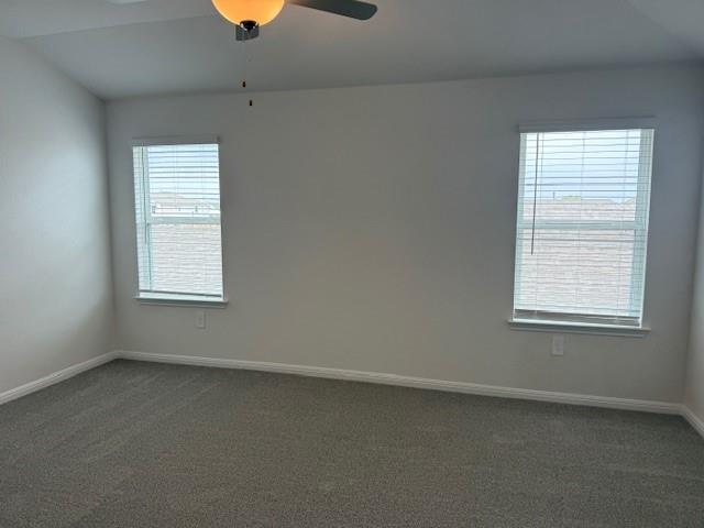 120 Maple Hedge Rd, Hutto, TX 78634