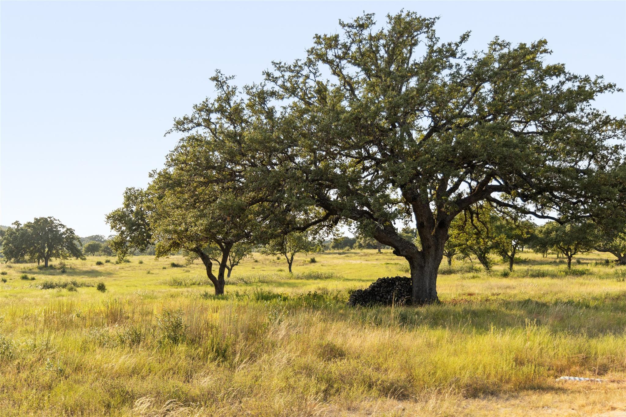 8577 Ranch Road 2766, Johnson City, TX 78636