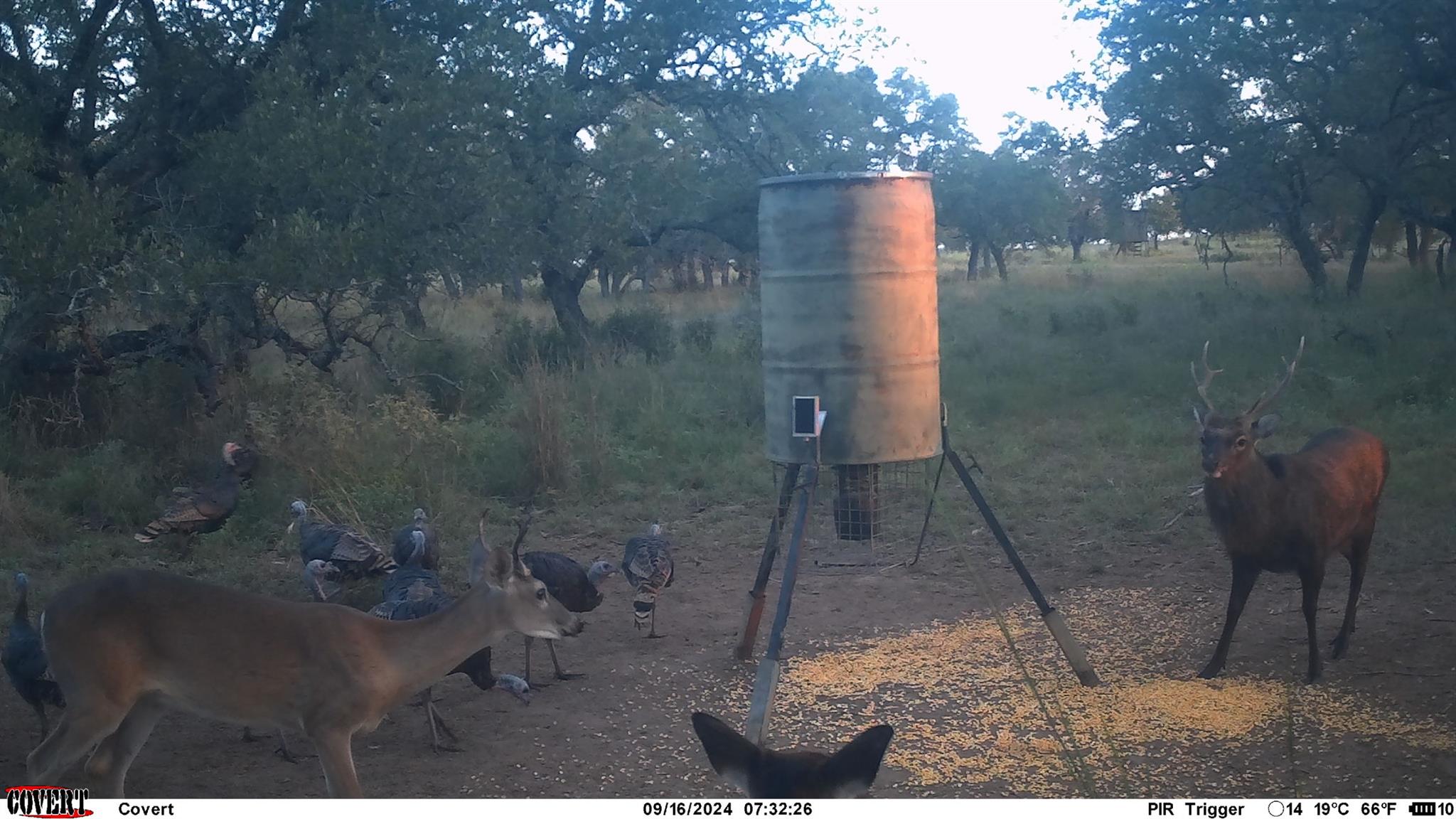 8577 Ranch Road 2766, Johnson City, TX 78636