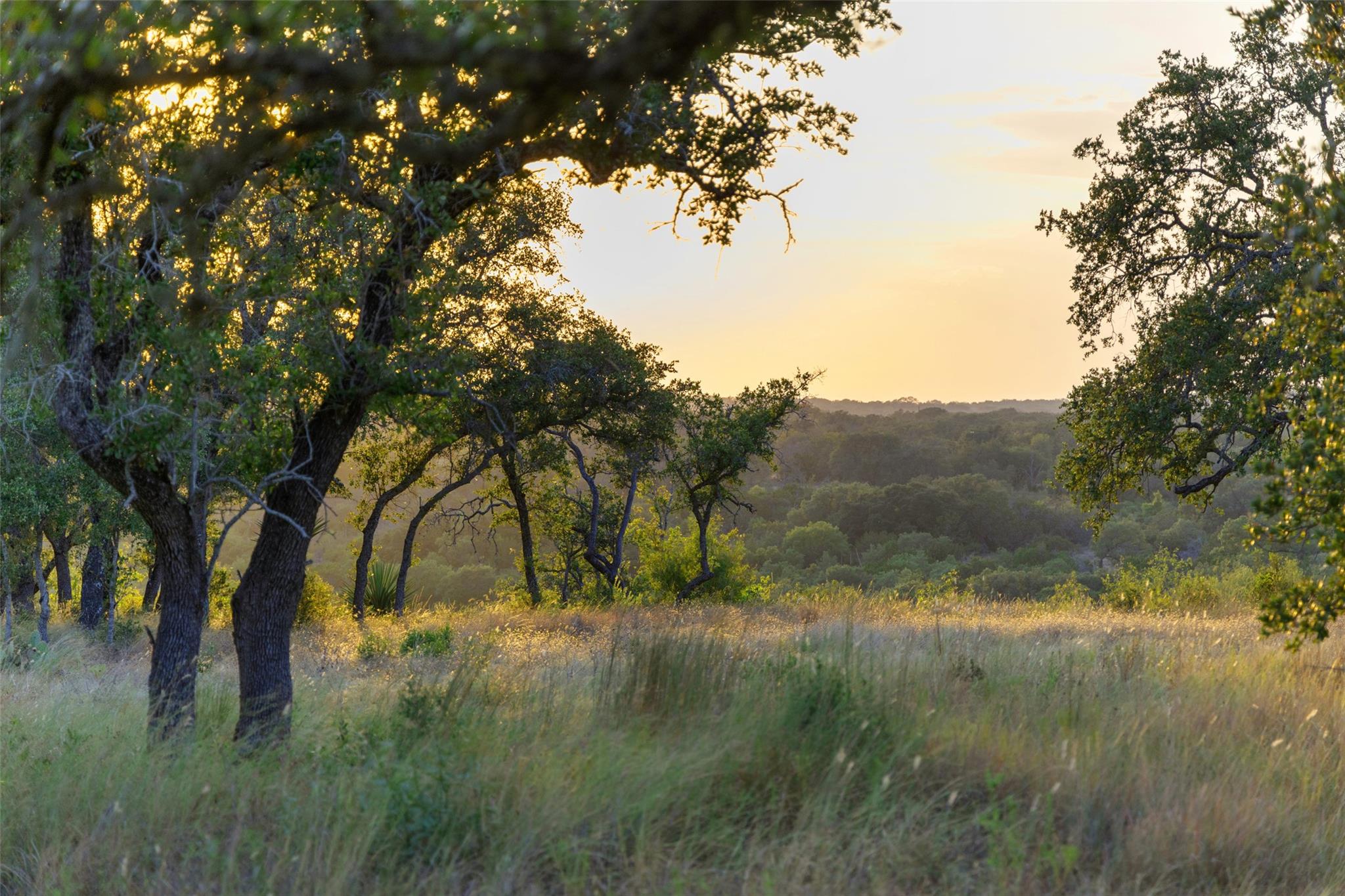 8577 Ranch Road 2766, Johnson City, TX 78636