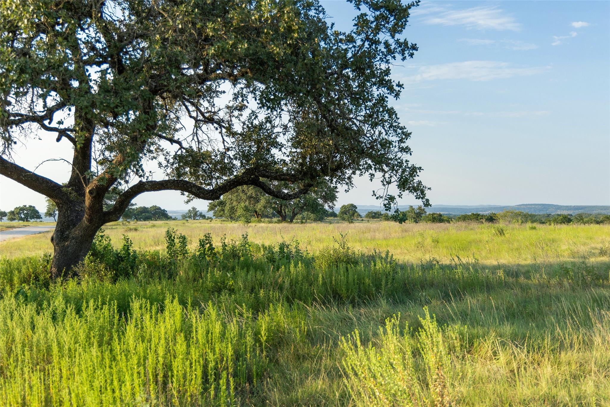 8577 Ranch Road 2766, Johnson City, TX 78636