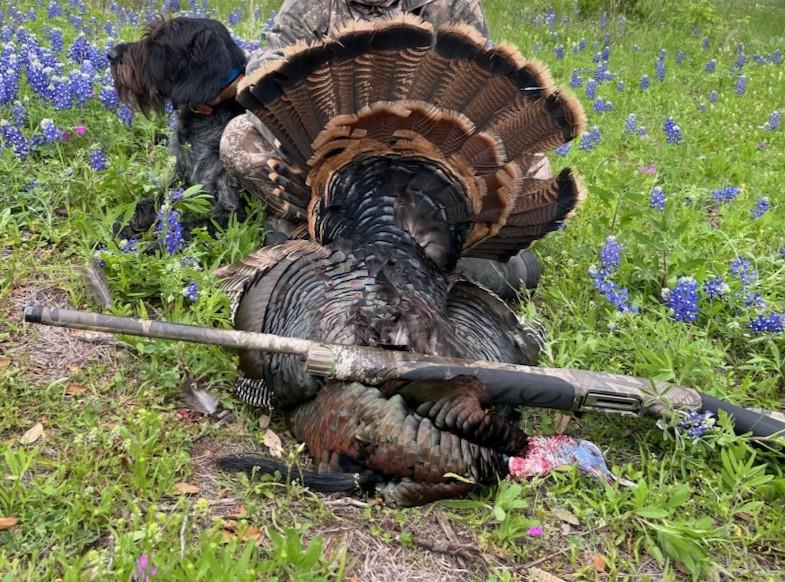 8577 Ranch Road 2766, Johnson City, TX 78636