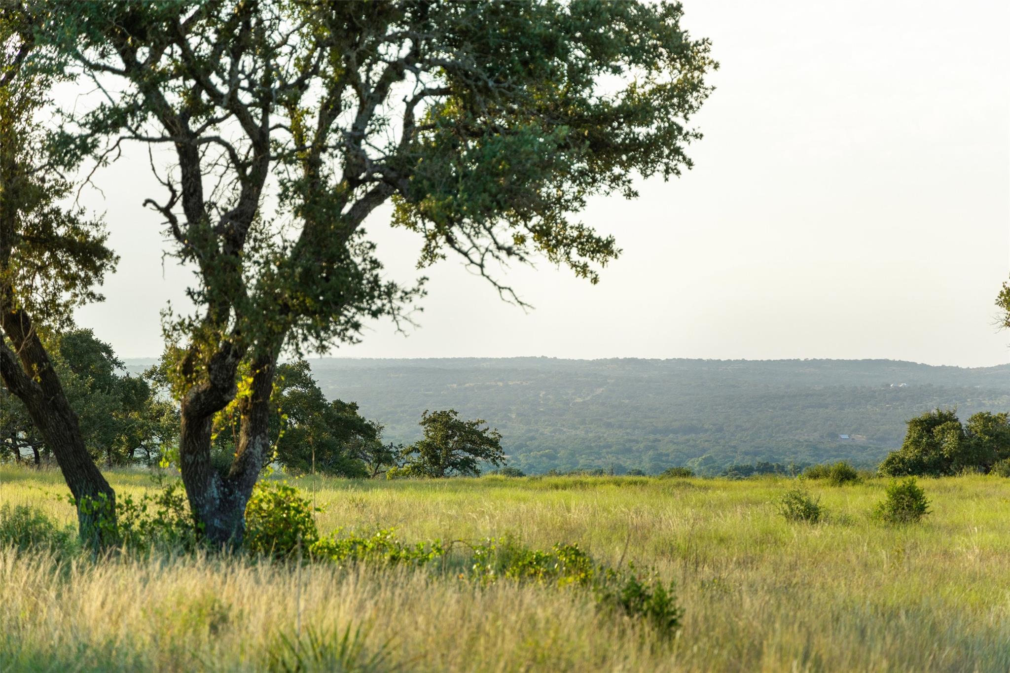 8577 Ranch Road 2766, Johnson City, TX 78636