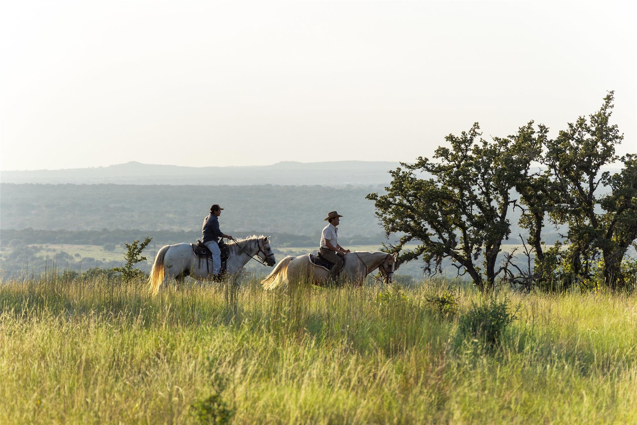 8577 Ranch Road 2766, Johnson City, TX 78636