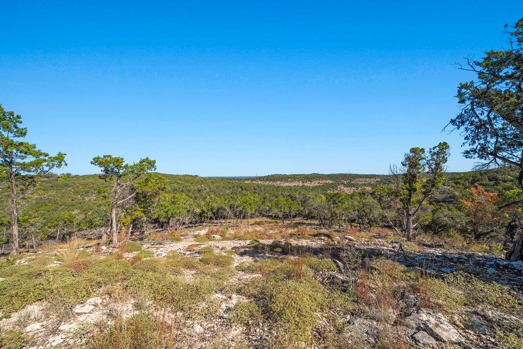 645 Ghost Dancer # A, Fischer, TX 78623