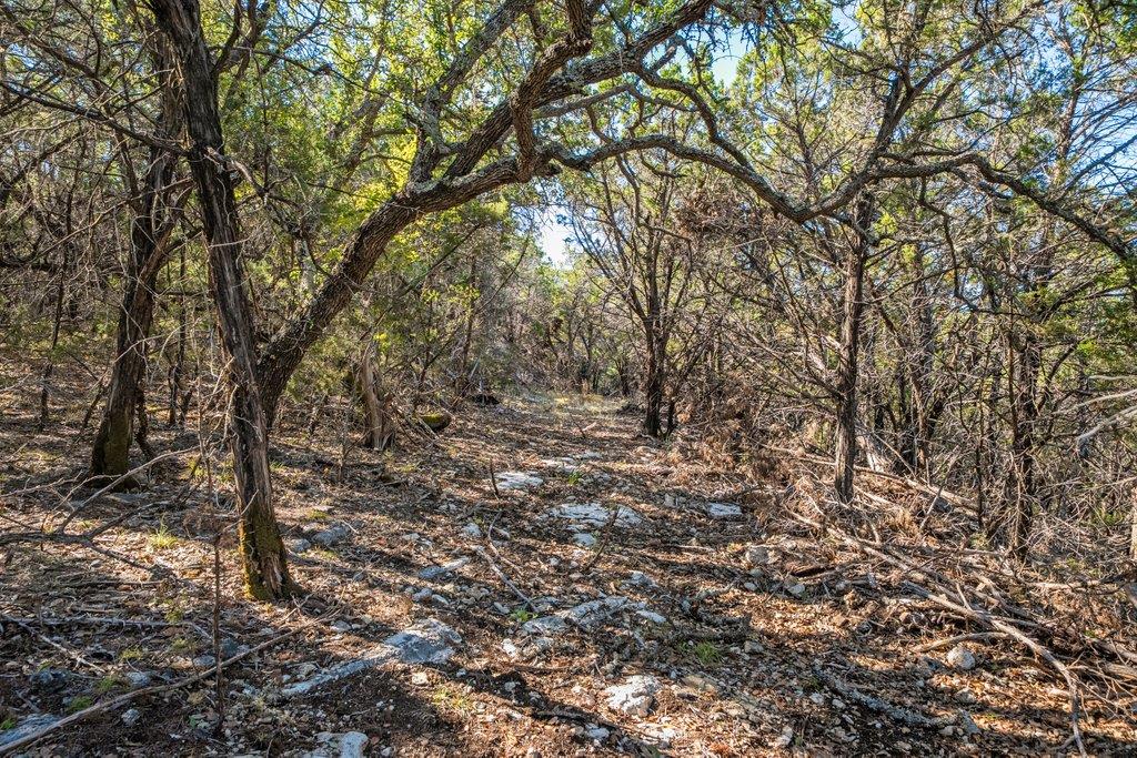 645 Ghost Dancer # A, Fischer, TX 78623