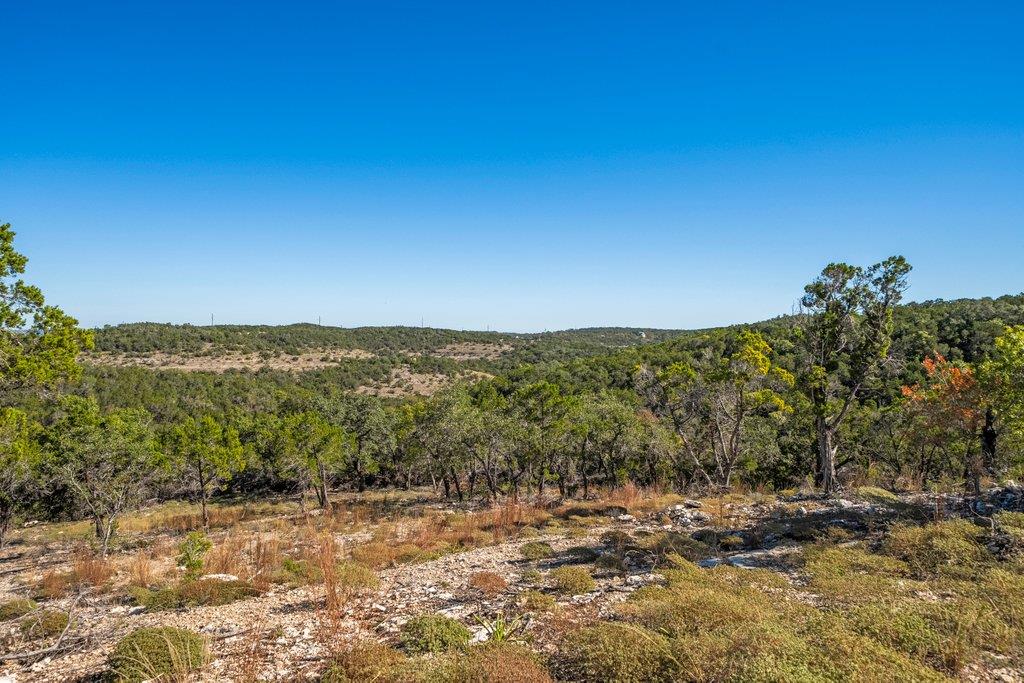 645 Ghost Dancer # A, Fischer, TX 78623