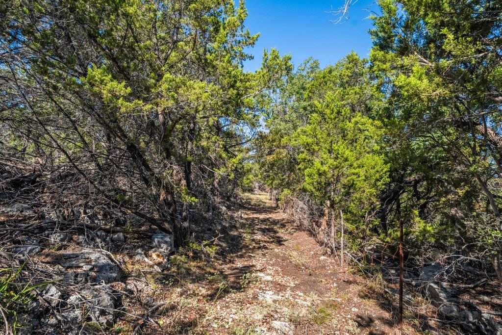 645 Ghost Dancer # A, Fischer, TX 78623