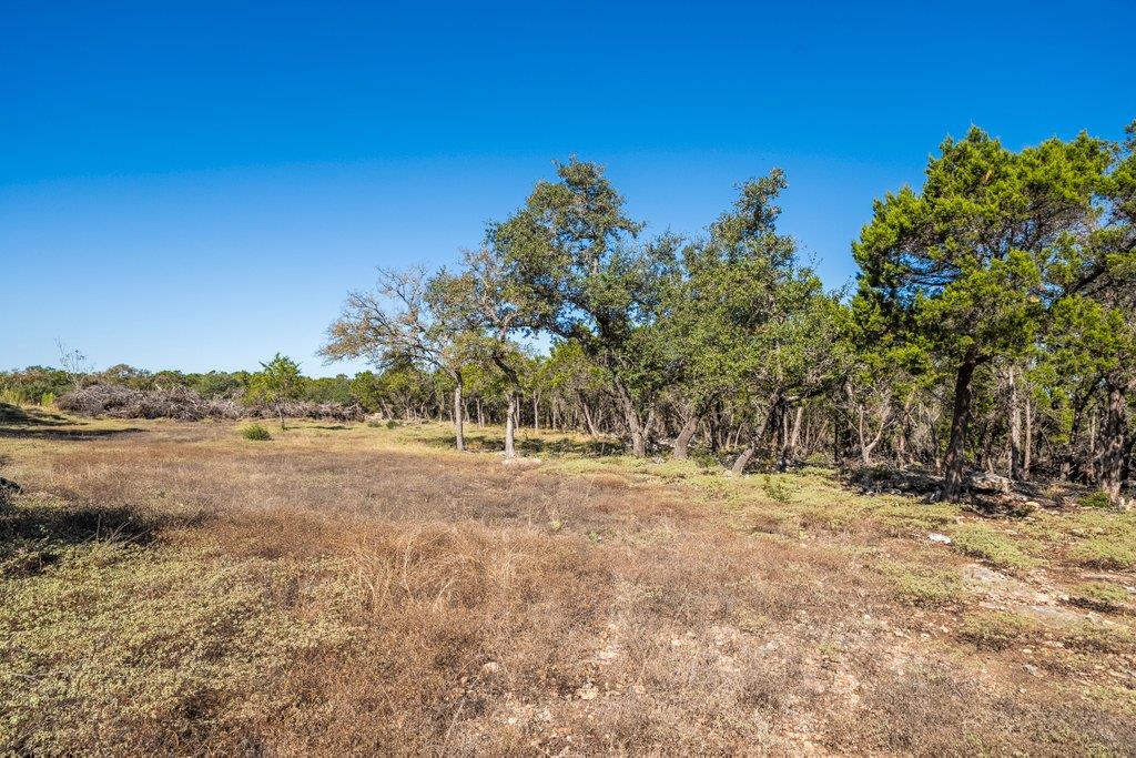 645 Ghost Dancer # A, Fischer, TX 78623