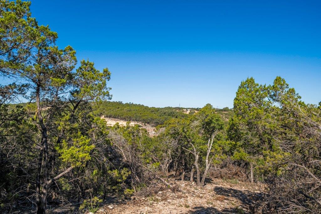 645 Ghost Dancer # A, Fischer, TX 78623