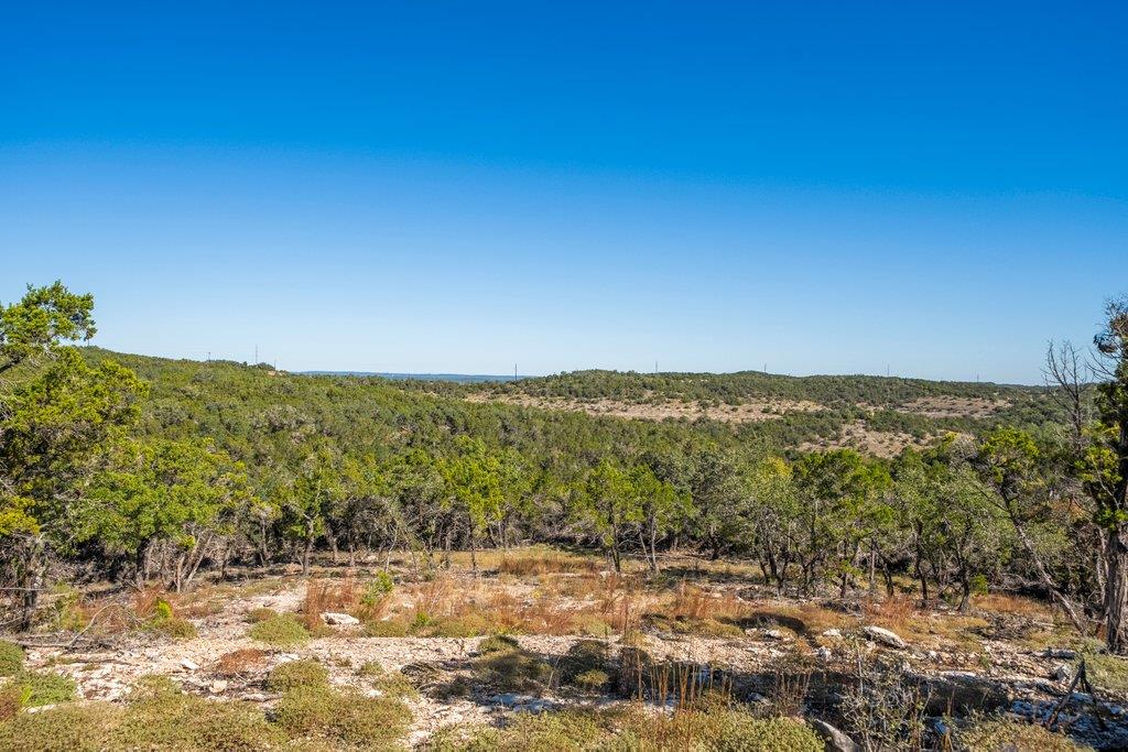 645 Ghost Dancer # B, Fischer, TX 78623